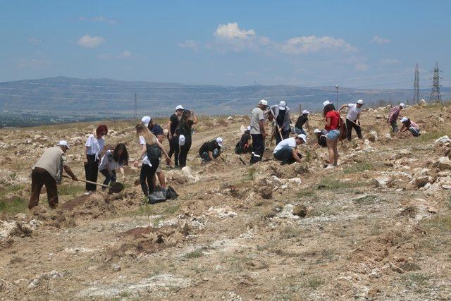 Odunpazarı bir orman daha kazandı