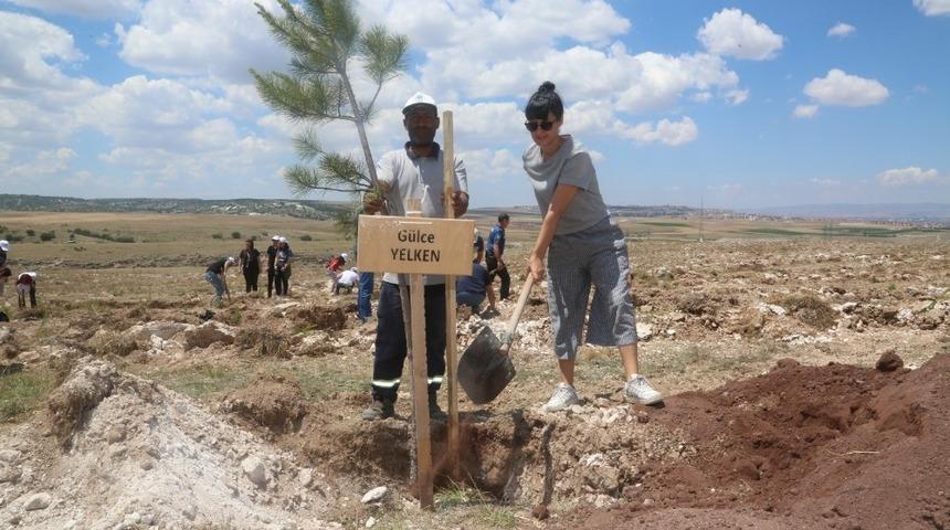 Odunpazarı bir orman daha kazandı