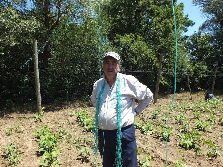 Çiftçinin umudu ’Pazaryeri boncuğu’ G3