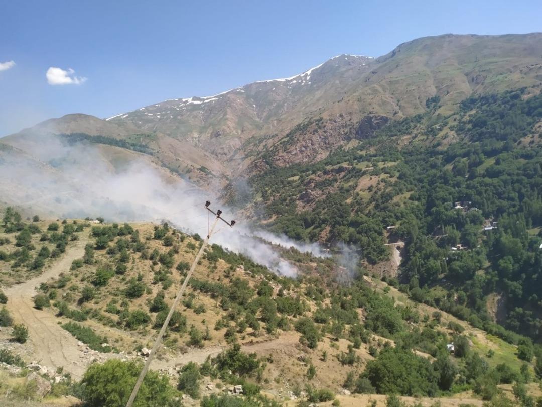 Bah&ccedil;esaray&rsquo;da orman yangını