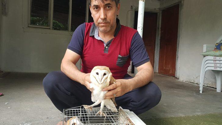 Gece çığlıklarla uyanıyorlardı! Esrarengiz sesin sırrı çözüldü G4