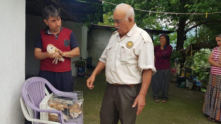 Gece çığlıklarla uyanıyorlardı! Esrarengiz sesin sırrı çözüldü G5