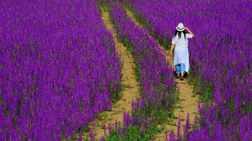 Giresun'da büyüleyen manzara