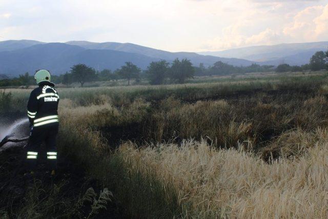 Erzincan’da arpa tarlasında yangın