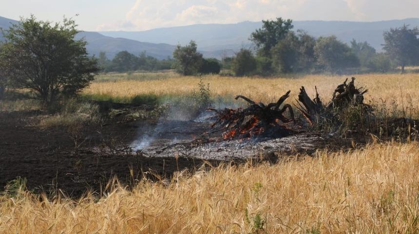 Erzincan&rsquo;da arpa tarlasında yangın