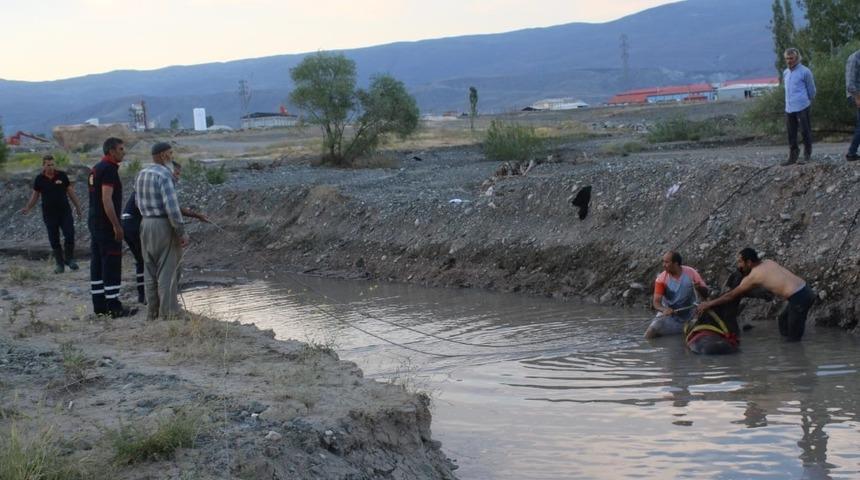 Nehir yatağına d&uuml;şen atı itfaiye ekipleri kurtardı