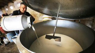 Çiğ süt desteği ödeme uygulamasında fatura düzenlemesi!