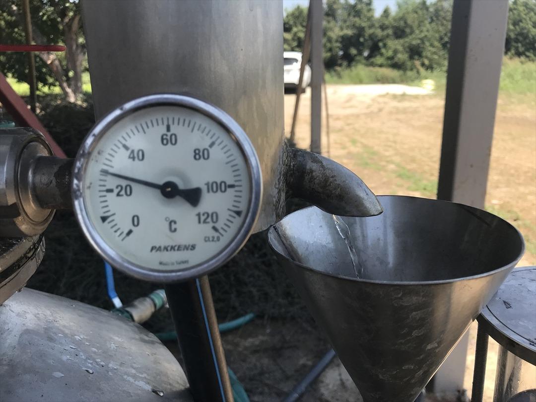 Kokusu ve rengiyle b&uuml;y&uuml;leyen lavantanın yağı da kıymetli