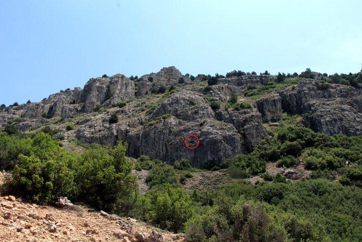 5 gündür izliyorlar ama yaklaşamıyorlar! 'Böylesiyle ilk kez karşılaştım' G1