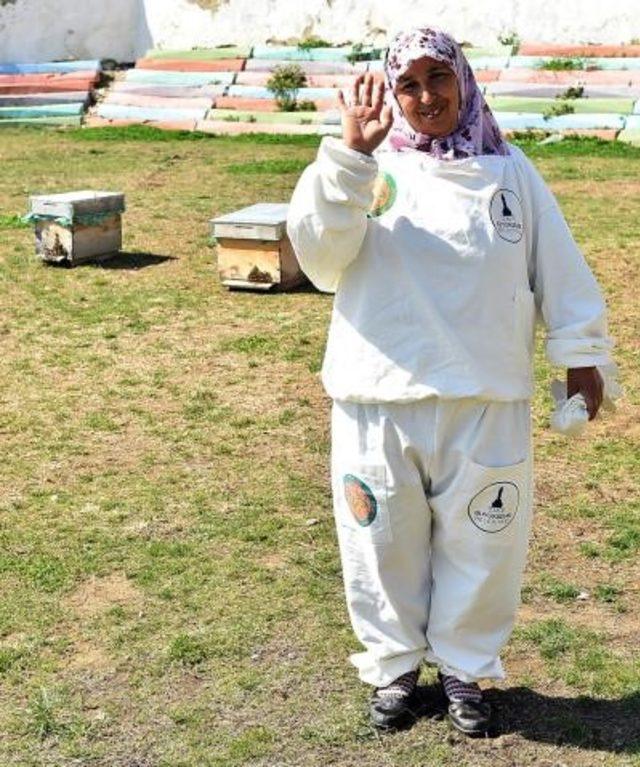 Arıcılık büyükşehir desteği ile yaygınlaşıyor