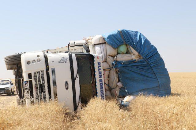 Saman yüklü kamyon devrildi: 7 yaralı