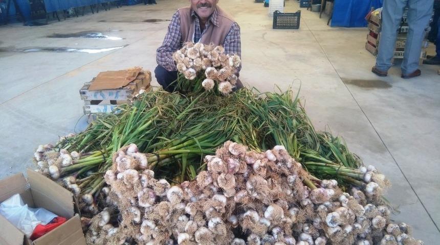Yerli sarımsak &ccedil;ıktı, fiyatlar d&uuml;şt&uuml;