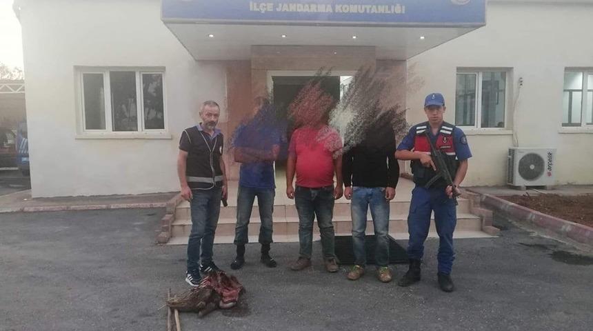 Oklu kirpi avlayan 3 kişiye para cezası