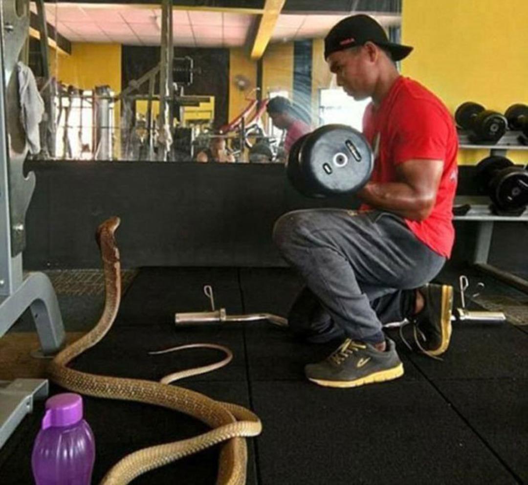 Taylandlı bir adam bir kobra ile evlendi! Gerek&ccedil;esi ise duyanları dehşete d&uuml;ş&uuml;rd&uuml;. 