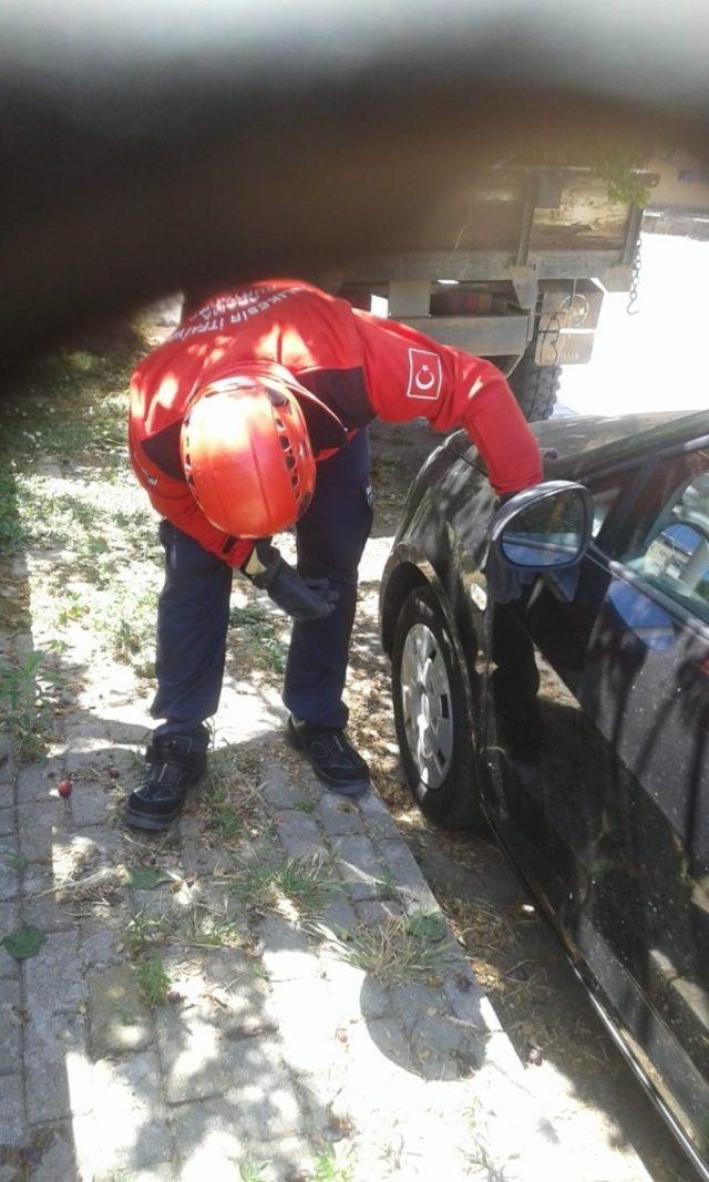 Aracın motoruna giren kedi yavrusunu itfaiye kurtardı