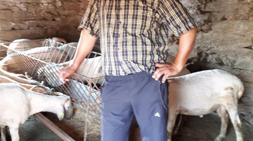 Koyun yıkamaya giden abi kardeş boğularak hayatını kaybetti