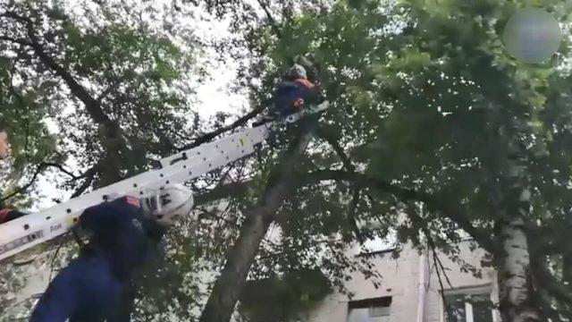 Kediyi kurtarmaya çıktığı ağaçta mahsur kaldı