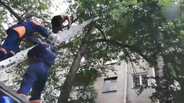 Kediyi kurtarmaya çıktığı ağaçta mahsur kaldı
