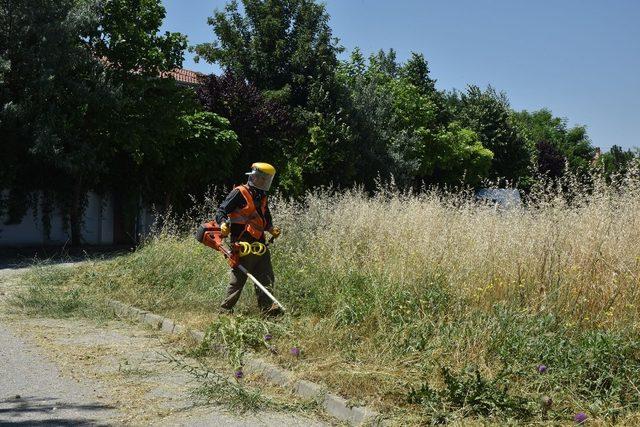 Tepebaşı’nda yabani ot temizliği sürüyor