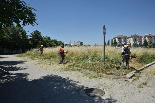 Tepebaşı’nda yabani ot temizliği sürüyor