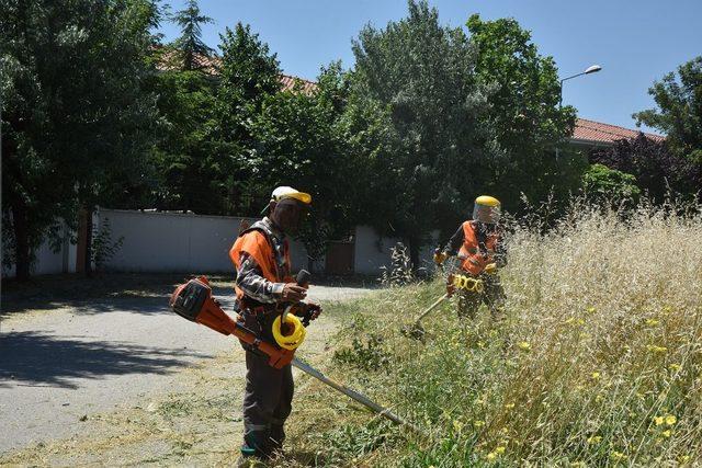 Tepebaşı’nda yabani ot temizliği sürüyor