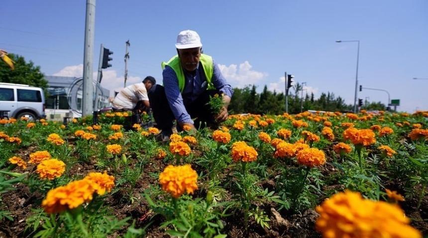 Kavşaklar mevsim &ccedil;i&ccedil;ekleriyle renklendi