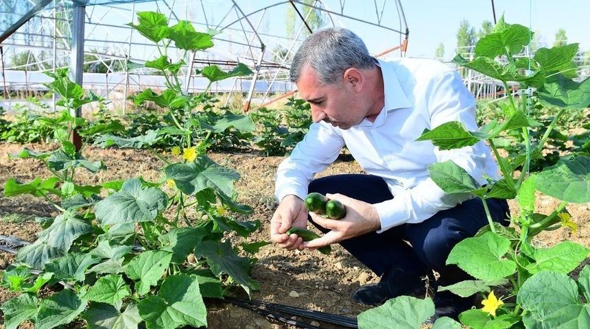 Yeşilyurt tarımda marka olacak