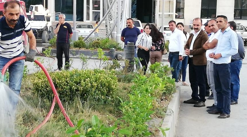 Belediye enc&uuml;menleri caddeleri yeşillendirdi