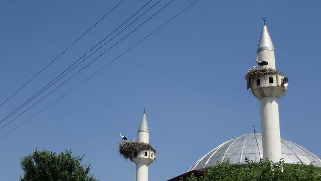 Caminin minareleri 6 yıldır leyleklere yuva oluyor