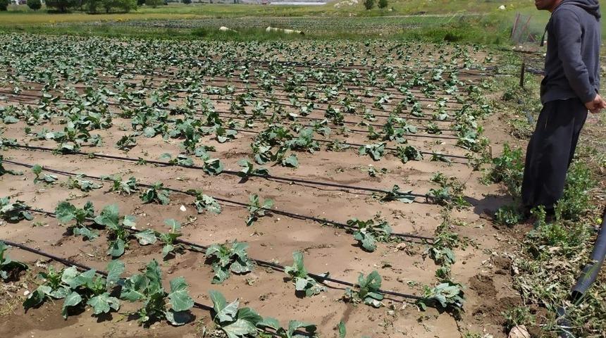 Sel sonrası yaralar sarılıyor