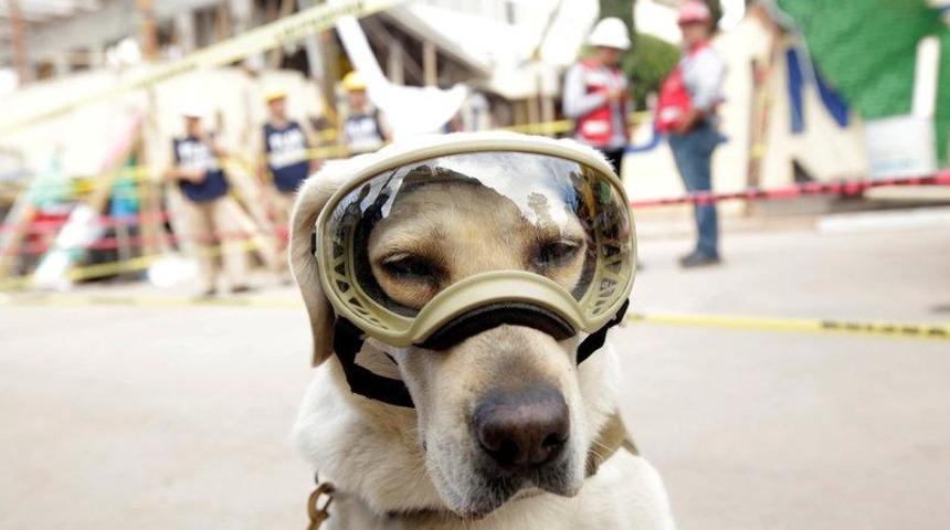 Dokuz yıl görev yaptı, emekliye ayrıldı!