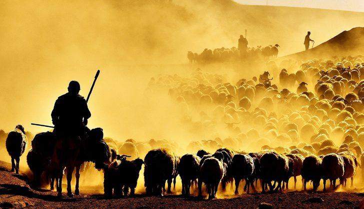 Nemrut Dağı'na zorlu yolculuk G3