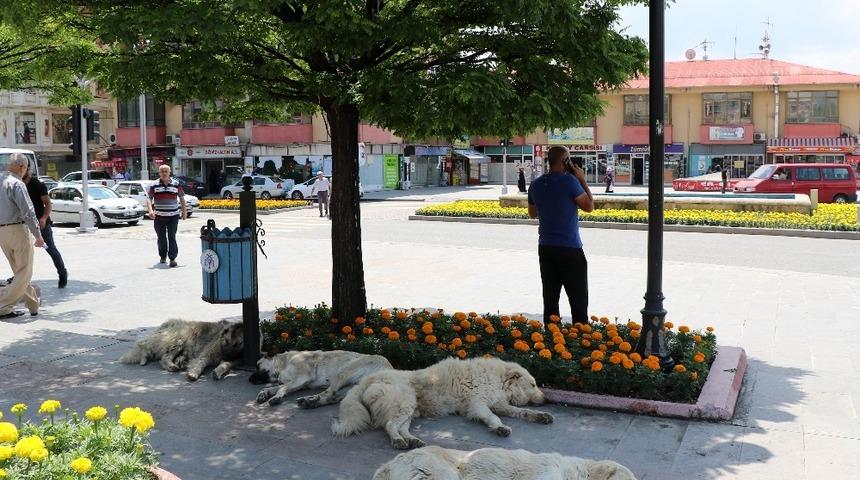 Doğu&rsquo;da sıcaklık artıyor