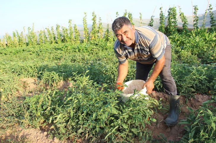 Havalar ısındı, üreticinin yüzü güldü G2