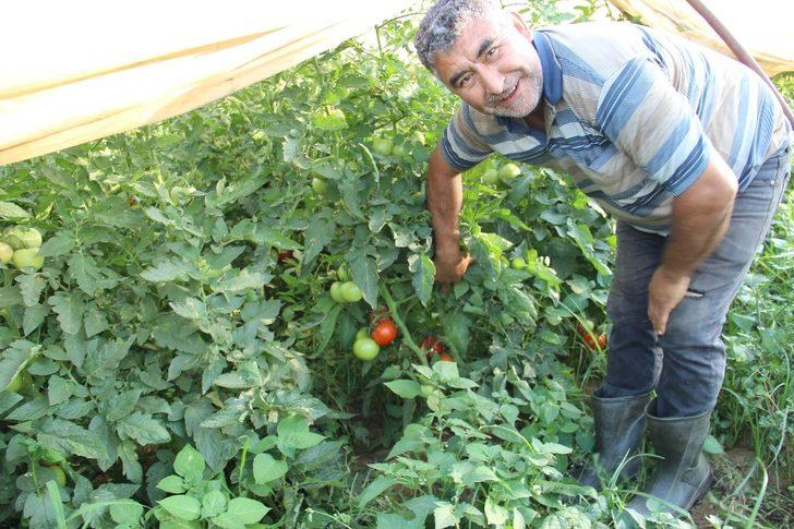 Havalar ısındı, üreticinin yüzü güldü G3