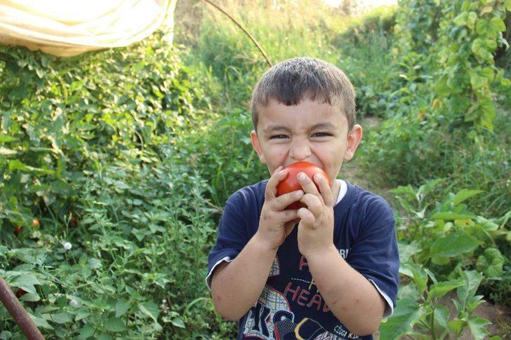 Havalar ısındı, üreticinin yüzü güldü G4
