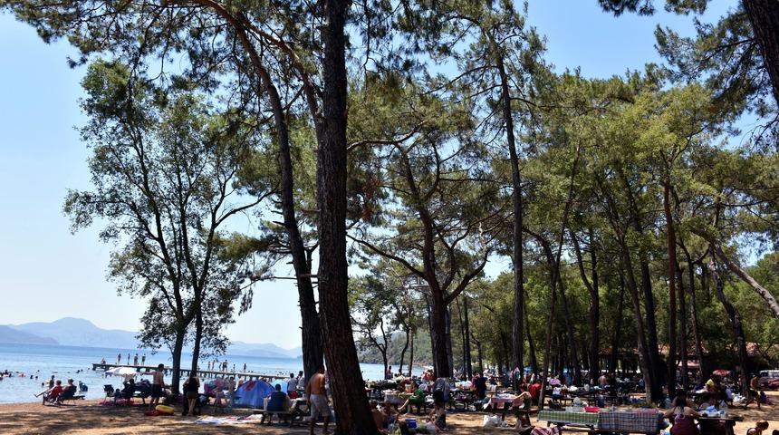 &Ccedil;ubucak Tabiat Parkı'nda doğayla baş başa tatil keyfi