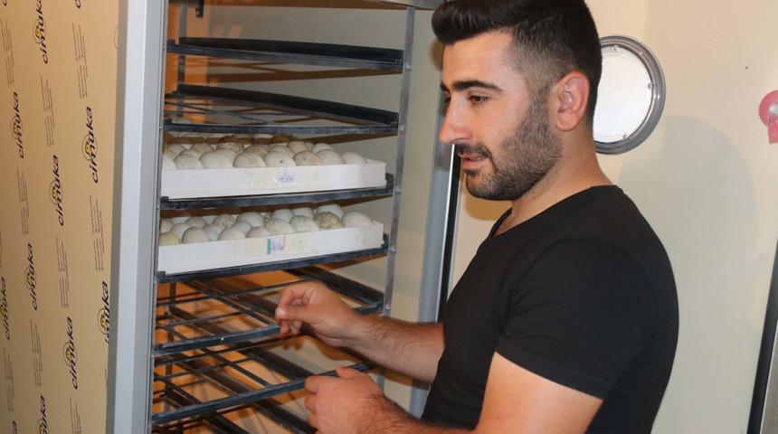 'Genç Çiftçi' desteği ile kurduğu çiftlikte yılda 2 bin kaz yetiştiriyor 