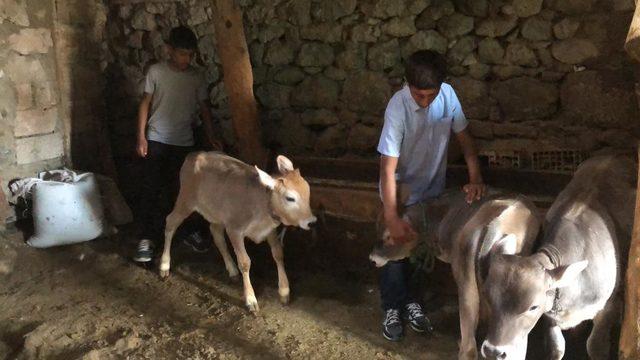 Köyün gururu olan ikizler adlarını dünyaya duyurmak istiyor