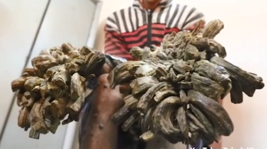 Ağa&ccedil; adam isyan etti: Ne olur ellerimi kesin!