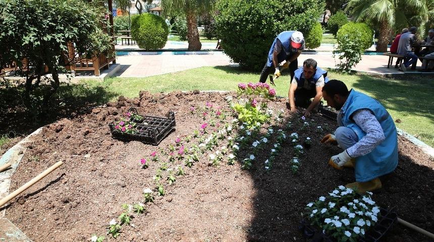 Haliliye Belediyesi il&ccedil;eyi &ccedil;i&ccedil;eklerle s&uuml;sl&uuml;yor