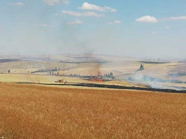 Aksaray'da 300 dönüm tarım arazisi yandı
