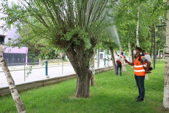 Aziziye’de haşerelere geçit yok