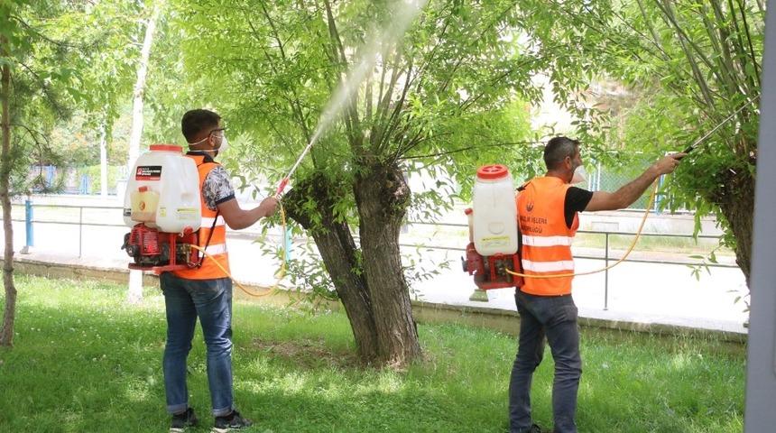 Aziziye’de haşerelere geçit yok