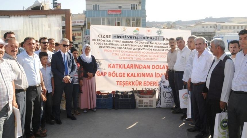 Cizre&rsquo;de &ccedil;ift&ccedil;ilere 10 bin adet hindi palazı ve 60 ton yem dağıtıldı