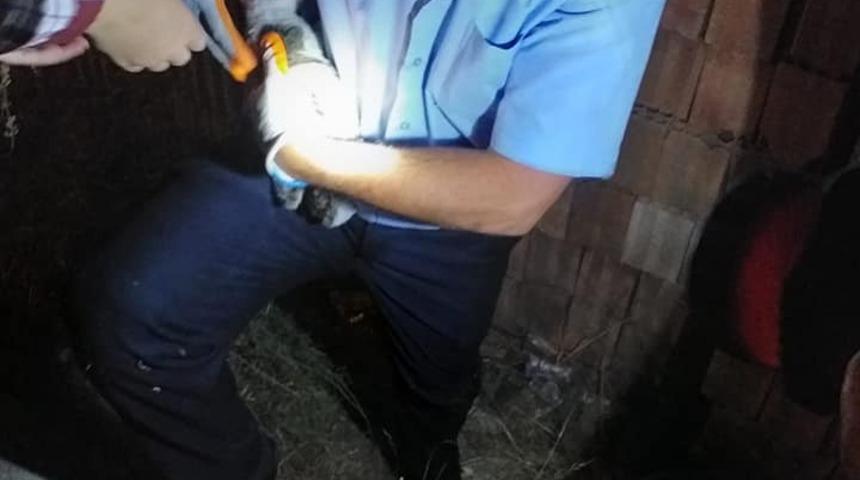 Tuğlalar arasında sıkışan yavru kedi kurtarıldı