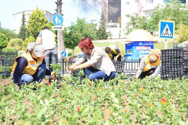 Aydın’ı kadınlar güzelleştiriyor