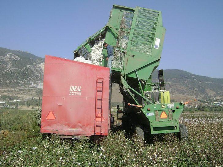 Söke Ovası bereket saçıyor G1