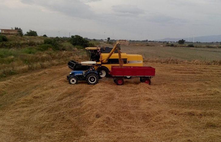 Söke Ovası bereket saçıyor G3