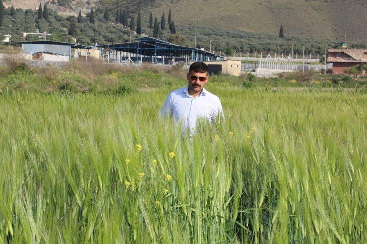 Söke Ovası bereket saçıyor G5